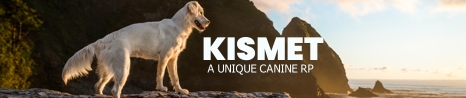Kismet - An Island Based Canine RP