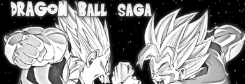 Dragon Ball Saga